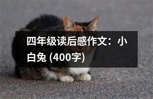 四年級讀后感作文：小白兔 (400字)