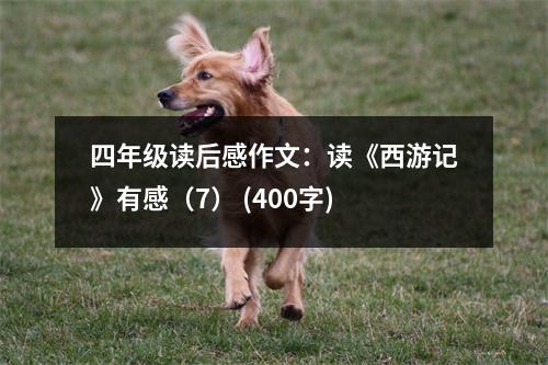 四年級讀后感作文：讀《西游記》有感（7） (400字)