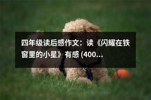 四年級讀后感作文：讀《閃耀在鐵窗里的小星》有感 (400字)