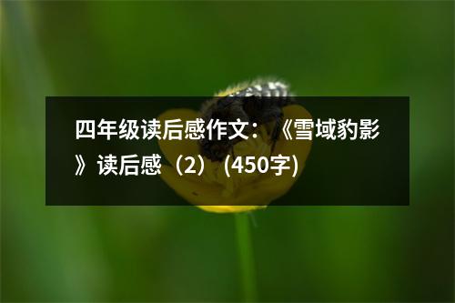 四年級(jí)讀后感作文：《雪域豹影》讀后感（2） (450字)