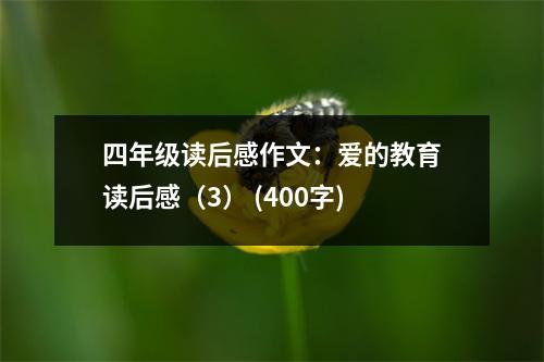 四年級讀后感作文：愛的教育讀后感（3） (400字)