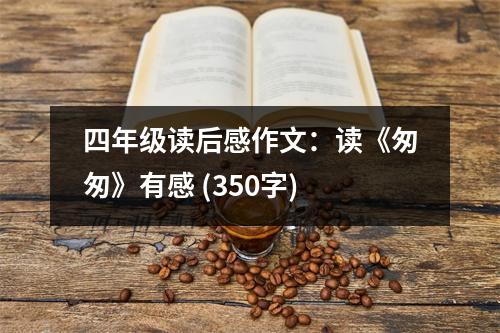 四年級讀后感作文：讀《匆匆》有感 (350字)