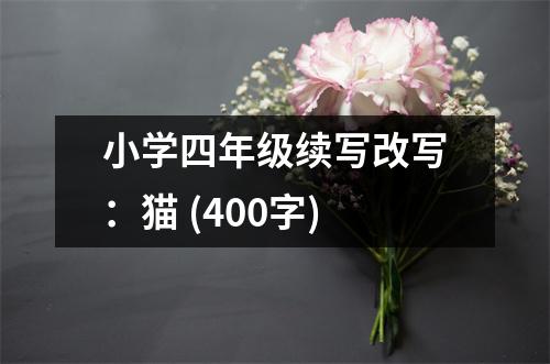 小學四年級續(xù)寫改寫：貓 (400字)