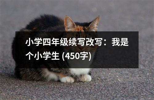 小學(xué)四年級(jí)續(xù)寫改寫：我是個(gè)小學(xué)生 (450字)