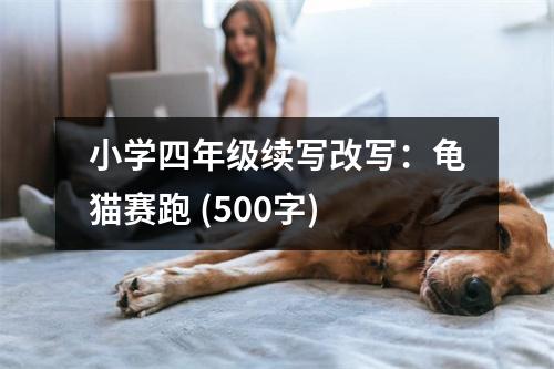 小學(xué)四年級續(xù)寫改寫：龜貓賽跑 (500字)