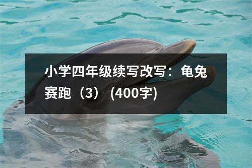 小學四年級續(xù)寫改寫：龜兔賽跑（3） (400字)