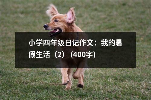 小學四年級日記作文：我的暑假生活（2） (400字)