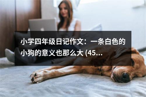 小學(xué)四年級日記作文：一條白色的小狗的意義也那么大 (450字)