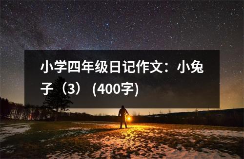 小學(xué)四年級日記作文：小兔子（3） (400字)