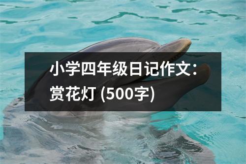 小學(xué)四年級日記作文：賞花燈 (500字)