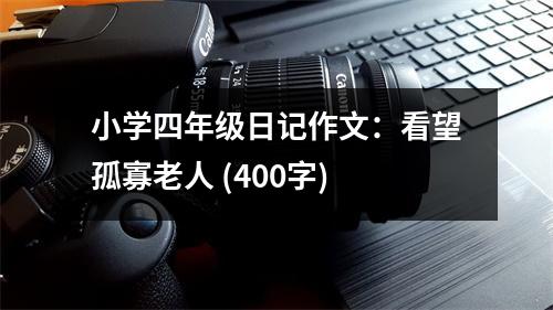 小學(xué)四年級日記作文：看望孤寡老人 (400字)