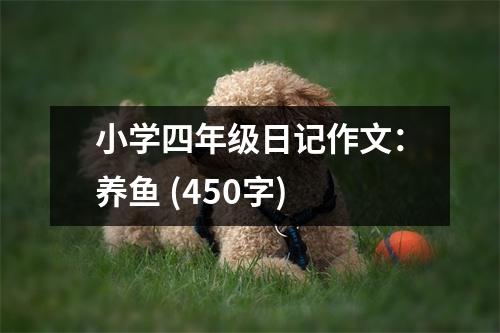 小學(xué)四年級(jí)日記作文：養(yǎng)魚(yú) (450字)