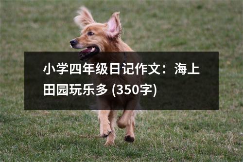 小學(xué)四年級(jí)日記作文：海上田園玩樂(lè)多 (350字)