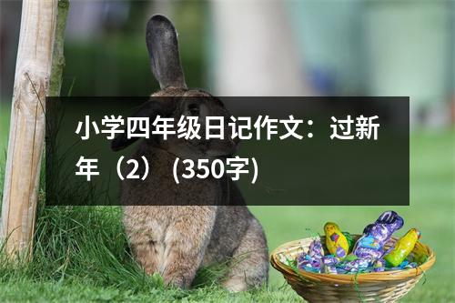 小學(xué)四年級(jí)日記作文：過新年（2） (350字)