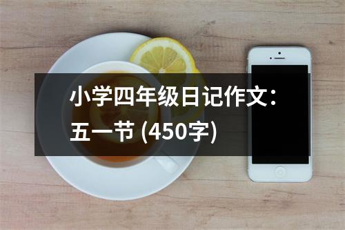 小學(xué)四年級(jí)日記作文：五一節(jié) (450字)