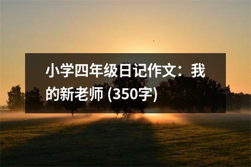 小學(xué)四年級日記作文：我的新老師 (350字)