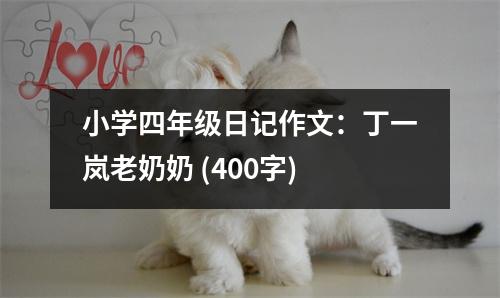 小學(xué)四年級(jí)日記作文：丁一嵐老奶奶 (400字)