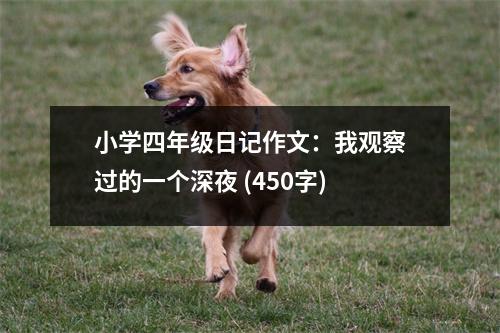 小學(xué)四年級(jí)日記作文：我觀察過的一個(gè)深夜 (450字)