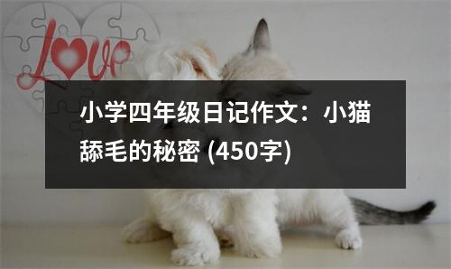小學(xué)四年級日記作文：小貓?zhí)蛎拿孛?(450字)
