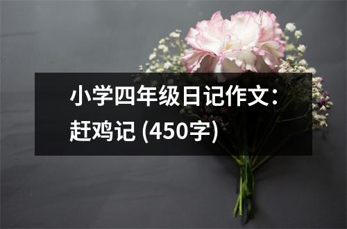 小學(xué)四年級(jí)日記作文：趕雞記 (450字)