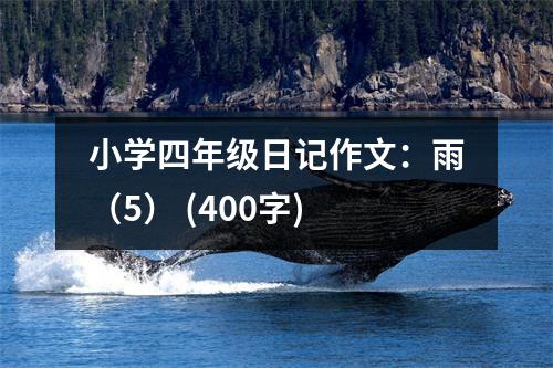 小學(xué)四年級(jí)日記作文：雨（5） (400字)