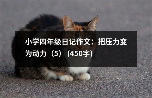 小學(xué)四年級(jí)日記作文：把壓力變?yōu)閯?dòng)力（5） (450字)