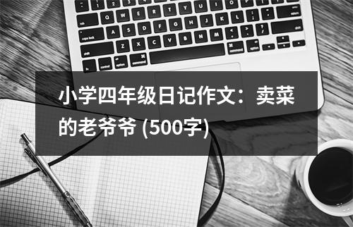 小學(xué)四年級日記作文：賣菜的老爺爺 (500字)
