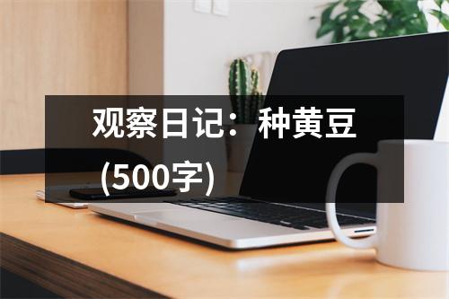 觀察日記：種黃豆 (500字)