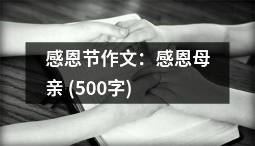 感恩節(jié)作文：感恩母親 (500字)