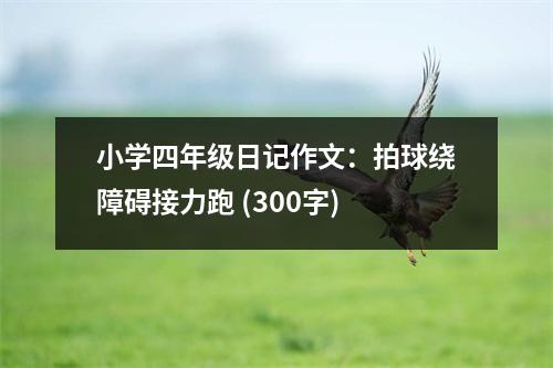 小學(xué)四年級日記作文：拍球繞障礙接力跑 (300字)
