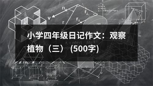 小學(xué)四年級(jí)日記作文：觀察植物（三） (500字)
