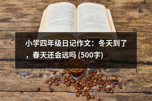 小學(xué)四年級(jí)日記作文：冬天到了，春天還會(huì)遠(yuǎn)嗎 (500字)