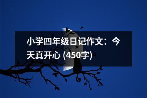小學(xué)四年級(jí)日記作文：今天真開心 (450字)