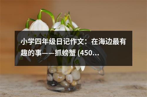 小學四年級日記作文：在海邊最有趣的事——抓螃蟹 (450字)
