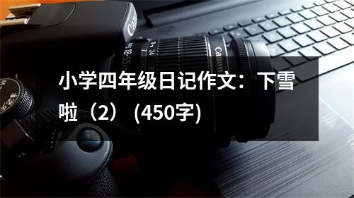 小學四年級日記作文：下雪啦（2） (450字)