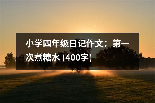 小學四年級日記作文：第一次煮糖水 (400字)