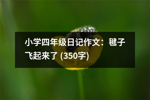 小學(xué)四年級日記作文：毽子飛起來了 (350字)