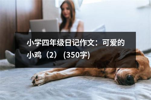 小學四年級日記作文：可愛的小雞（2） (350字)
