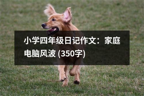 小學(xué)四年級(jí)日記作文：家庭電腦風(fēng)波 (350字)