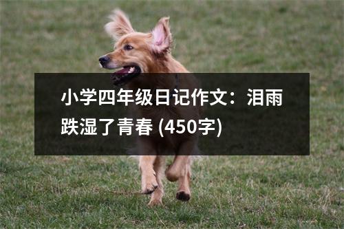 小學(xué)四年級(jí)日記作文：淚雨跌濕了青春 (450字)