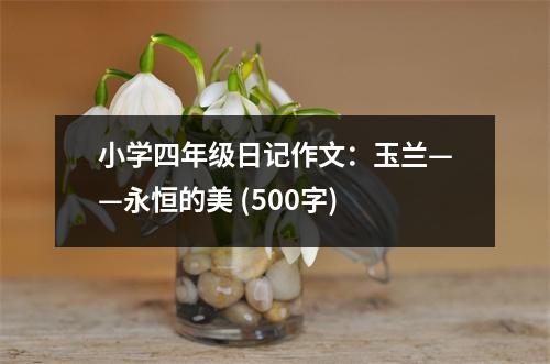 小學(xué)四年級(jí)日記作文：玉蘭——永恒的美 (500字)
