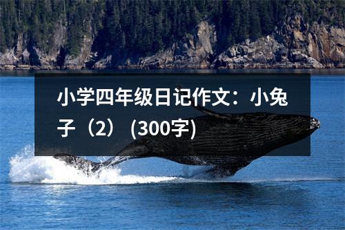 小學(xué)四年級(jí)日記作文：小兔子（2） (300字)