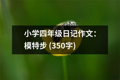 小學四年級日記作文：模特步 (350字)