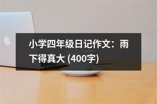 小學(xué)四年級(jí)日記作文：雨下得真大 (400字)