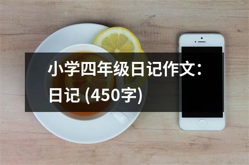 小學(xué)四年級(jí)日記作文：日記 (450字)