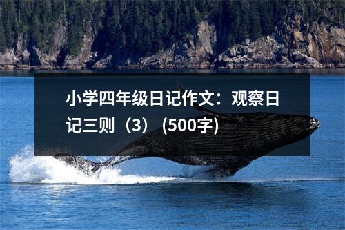 小學(xué)四年級(jí)日記作文：觀察日記三則（3） (500字)