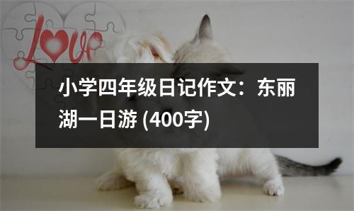 小學(xué)四年級(jí)日記作文：東麗湖一日游 (400字)