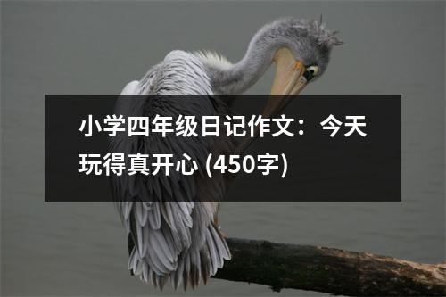 小學(xué)四年級(jí)日記作文：今天玩得真開(kāi)心 (450字)