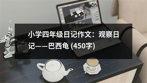 小學(xué)四年級(jí)日記作文：觀察日記——巴西龜 (450字)