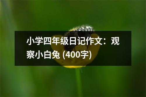 小學(xué)四年級(jí)日記作文：觀察小白兔 (400字)
